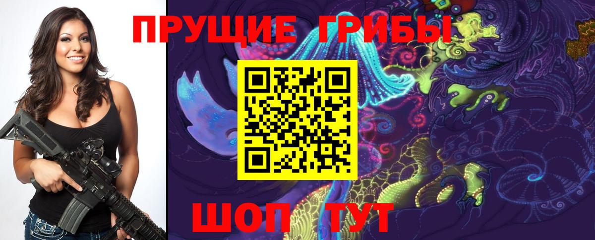 Псилоцибиновые грибы Magic Shrooms  Галлюциногенные грибы Cubensis  Серов  Вход с VPN 